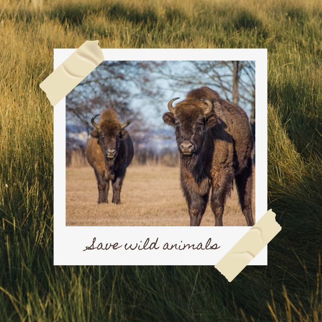 Designvorlage Awareness of Protecting Wild Animals für Instagram