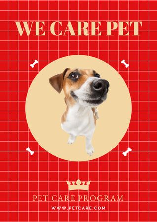 Platilla de diseño Pet Care Poster Poster