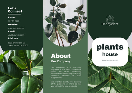 Oznámení o prodeji domácích rostlin Brochure Šablona návrhu
