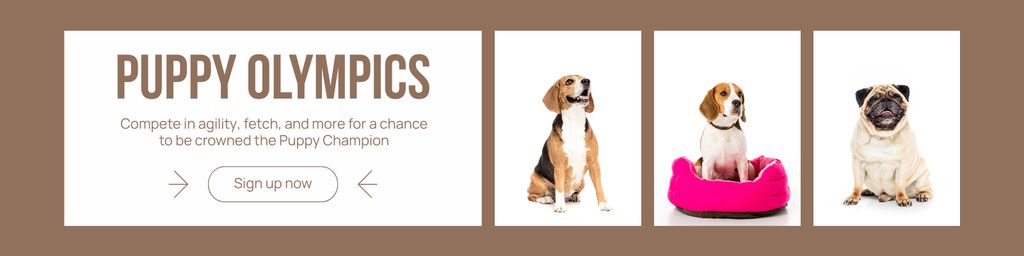Modèle de visuel Announcement of Olympic Competition for Dogs - Twitter