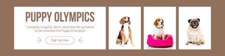 Announcement of Olympic Competition for Dogs Twitter Design Template