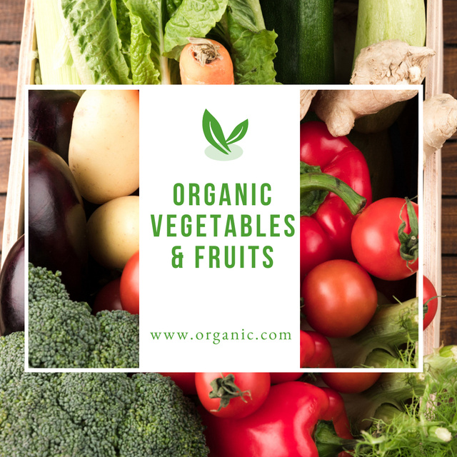 Modèle de visuel Offer of Organic Vegetables and Fruits - Instagram