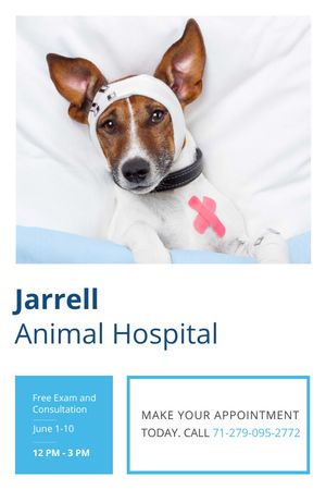 Animal Hospital Ad with Cute injured Dog Tumblr Modelo de Design