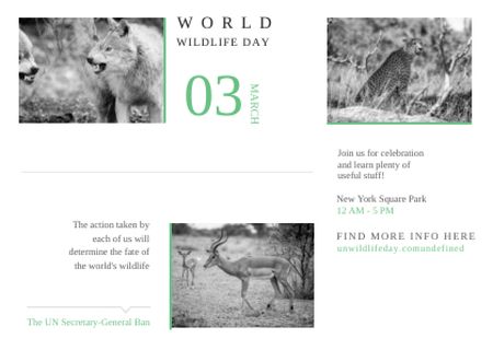 World wildlife day Announcement Postcard Design Template
