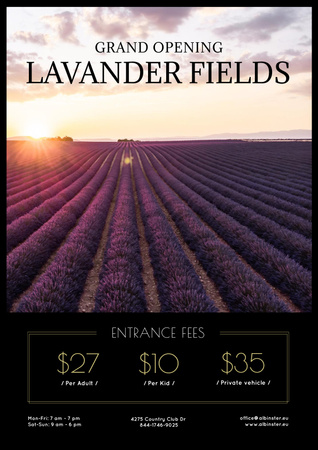 Sunset in Lavender Field Poster Design Template