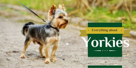 Everything about Yorkies banner  Image Design Template