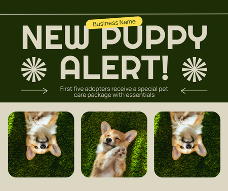 New Puppies of Corgi Are Available for Adoption Facebook Design Template