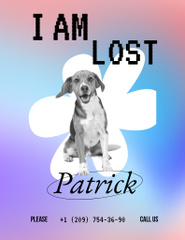 Announcement about Missing Dog Patrick In Gradient