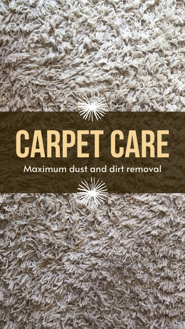 Thorough Carpet Care And Cleaning With Discounts Offer TikTok Video Design Template