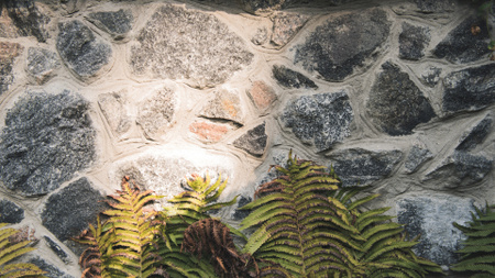 Stone wall with fern leaves Zoom Background Tasarım Şablonu