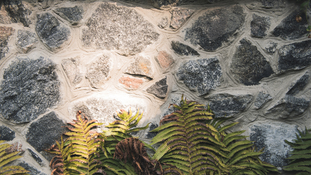 Szablon projektu Stone wall with fern leaves Zoom Background