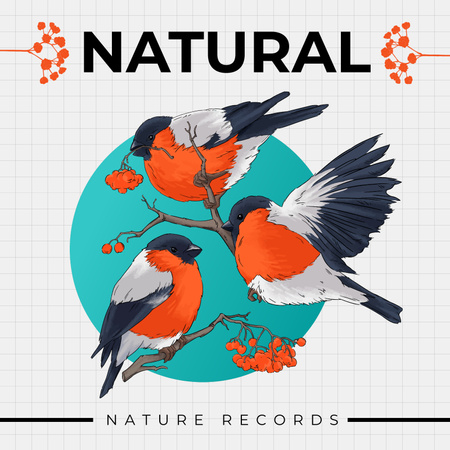 Illustration with Red-White Birds Album Cover Design Template