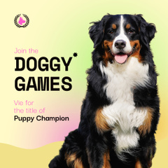 Stunning Dogs Games And Championship Announcement