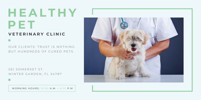 Vet Clinic Visit with Dog Image Modelo de Design