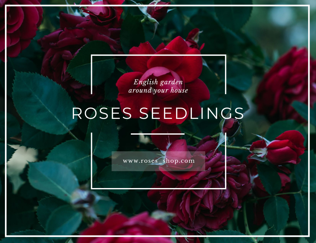Flower Seedling Retail Ad with Red Rose Bush Thank You Card 5.5x4in Horizontal Tasarım Şablonu