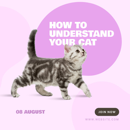 Cat Walk Show Announcement with Cute Kitten Instagram Design Template