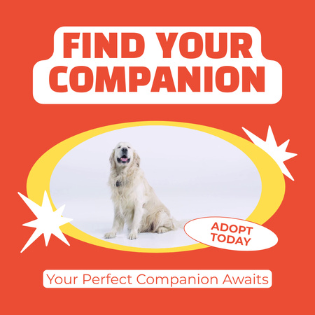 Cute Golden Retriever waiting for Adoption Animated Post Design Template