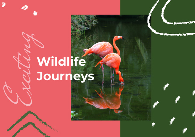 Pink Flamingos In Water For Wildlife Journeys Postcard A5 Design Template