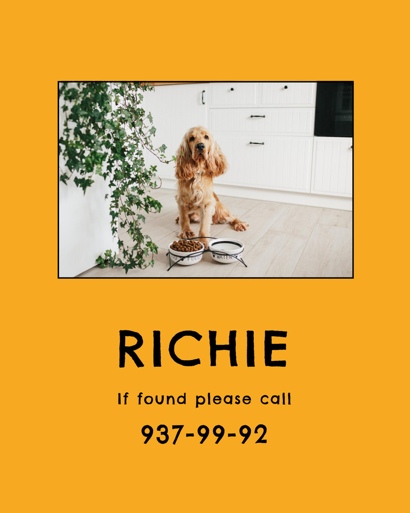 Modèle de visuel Announcement Of Lost Pet And Photo of Lost Dog - Poster 16x20in