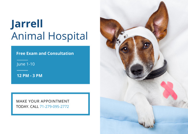 Plantilla de diseño de Animal Hospital Promotion with Sick Dog In Bandages Flyer 5x7in Horizontal 
