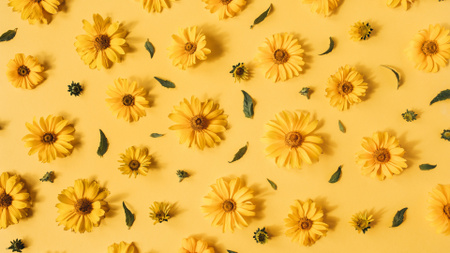 Plantilla de diseño de Floral Pattern of Chamomiles of Yellow Zoom Background 