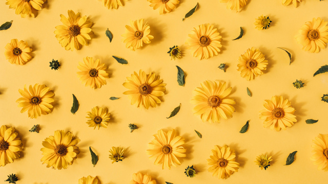 Ontwerpsjabloon van Zoom Background van Floral Pattern of Chamomiles of Yellow