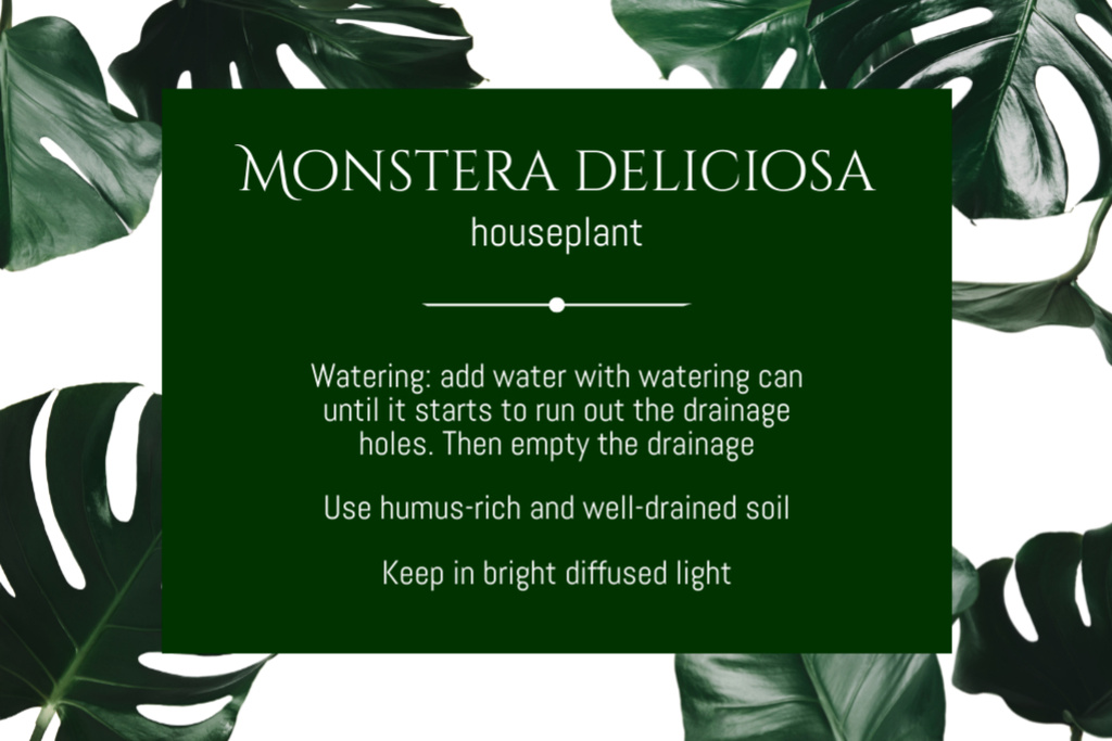 Monstera Houseplant Retail Label – шаблон для дизайну
