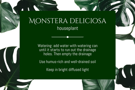 Monstera Houseplant Retail Label Design Template