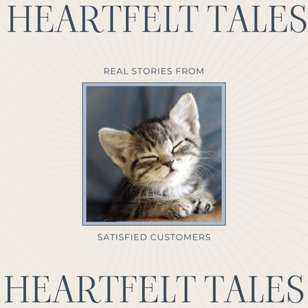 Sydämellisiä tarinoita Cats Breeder -asiakkailta Animated Post Design Template