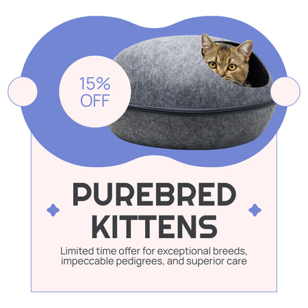 純血種の子猫の割引 Instagram ADデザインテンプレート