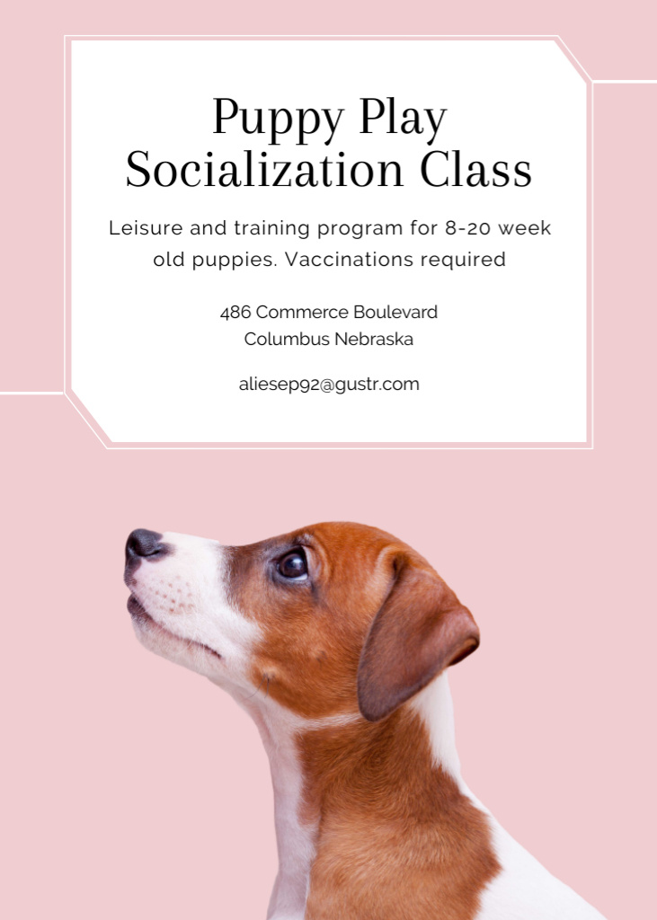 Puppy Socialization Class with Dog on Pink Flayer Modelo de Design