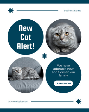 Latest Cat Breed Kennel Promotion Instagram Post Vertical Design Template