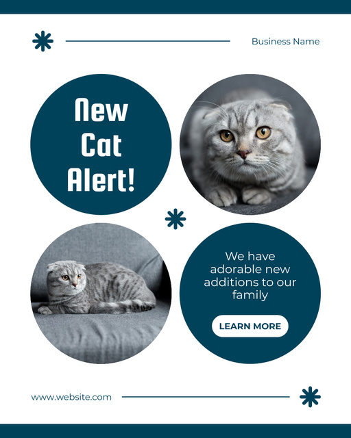 Designvorlage Latest Cat Breed Kennel Promotion für Instagram Post Vertical