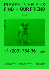Vivid Notable Green Announcement about Missing Dog