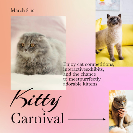 Various Cat Breeds Expo In March Announcement Animated Post Design Template