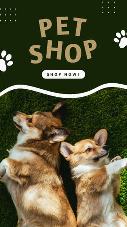 Designvorlage Pet Shop Ad mit süßen Hunden auf grünem Gras für Instagram Story