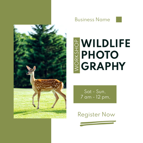 Wildlife Photography Workshop Announcement
