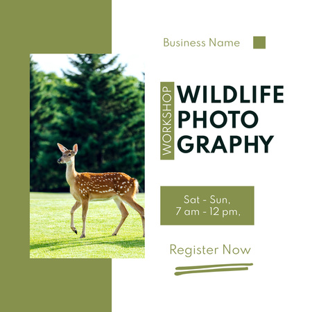 Wildlife Photography Workshop Announcement Instagram Design Template