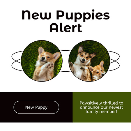 New Puppies Alert on Green and White Instagram Design Template