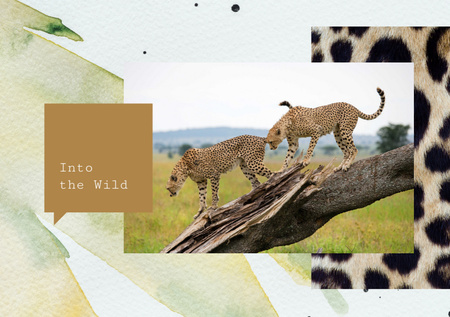 Wild Cheetahs In Natural Habitat Postcard A5 Design Template