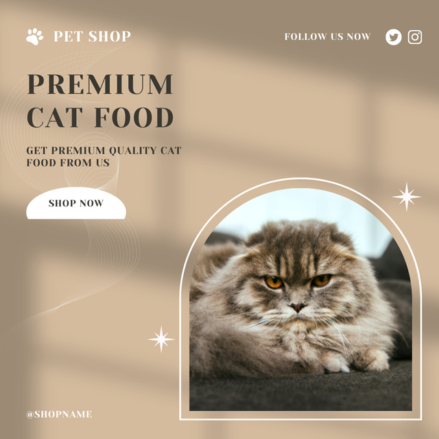 Premium Pet Food Offer with Fluffy Cat Instagramデザインテンプレート