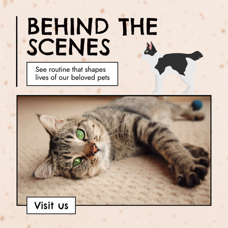Plantilla de diseño de El centro de criadores de gatos ofrece visita en persona Animated Post 