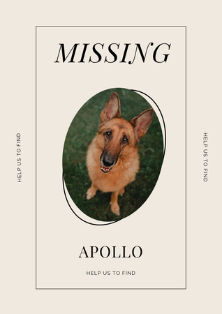 Plantilla de diseño de Anuncio sobre Missing Nice Dog Poster 