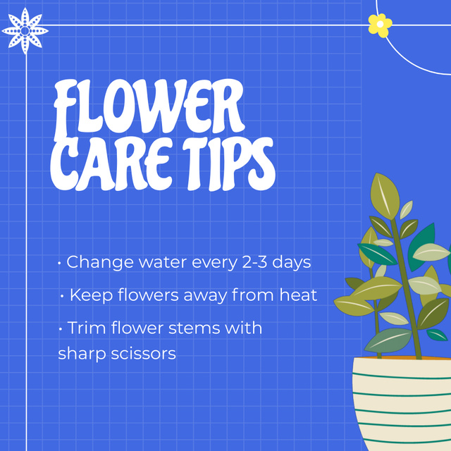Plant In Pot With Flower Care Tips Animated Post Design Template