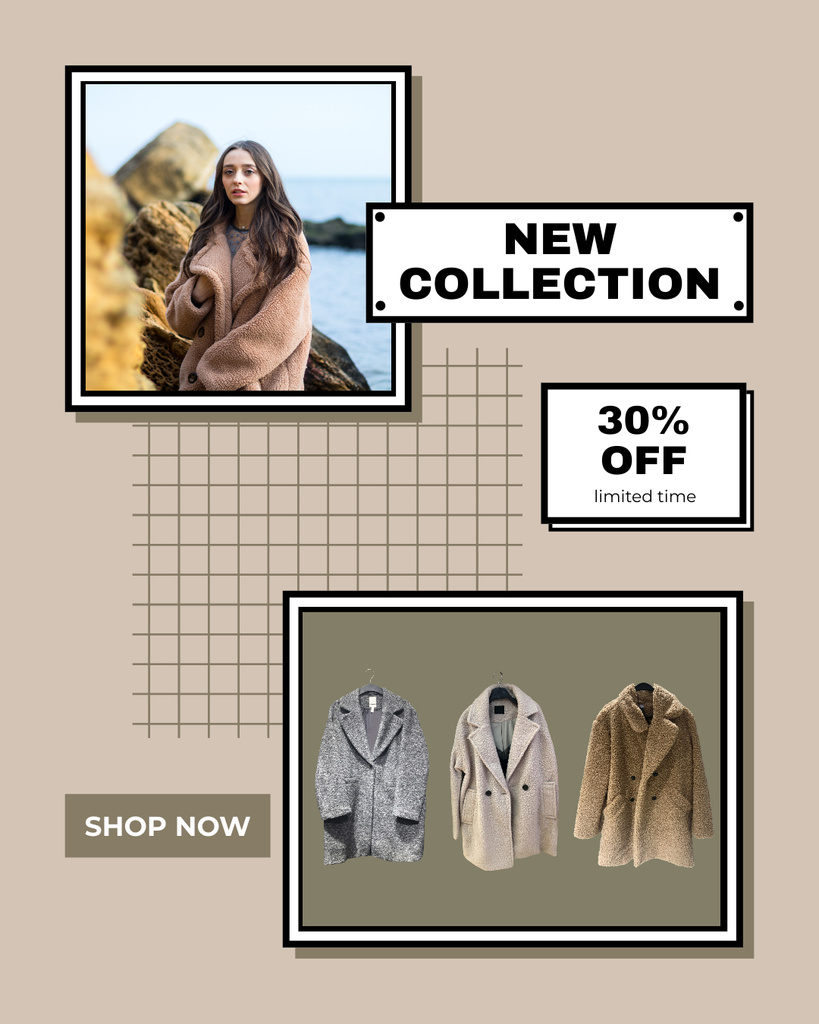 Designvorlage New Winter Clothes Collection with Discount für Instagram Post Vertical