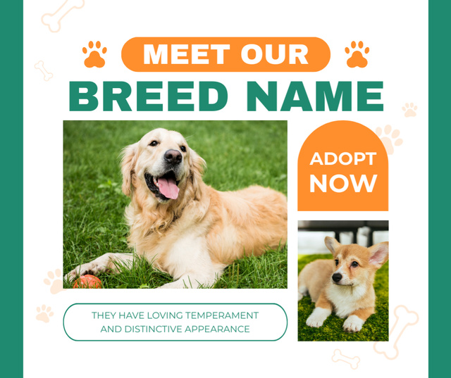 Template di design Adopt Our Purebred Puppies Today Facebook
