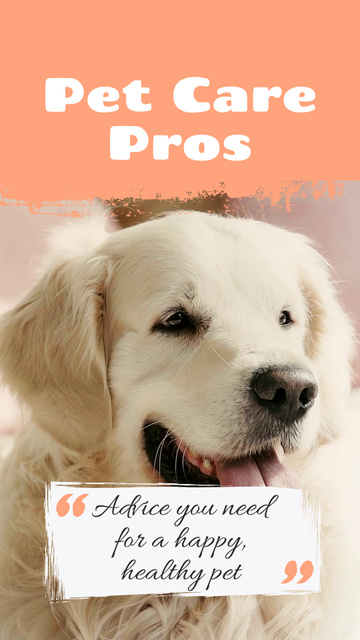 Helpful Pet Care Advice For Owners Instagram Video Story Design Template