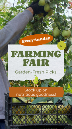 Platilla de diseño Lovely Farming Fair Promotion Every Sunday TikTok Video