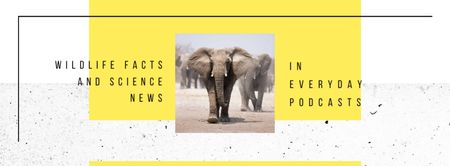 Elephants in Natural Habitat Facebook cover Design Template