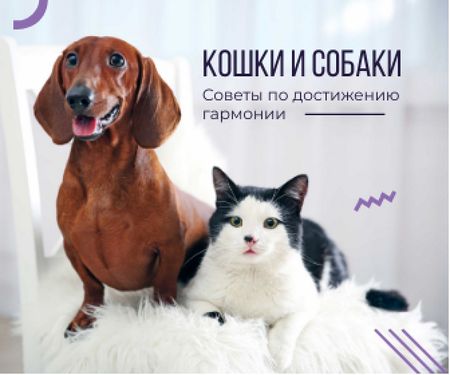 Tips for reaching harmony between cat and dog poster Large Rectangle – шаблон для дизайна
